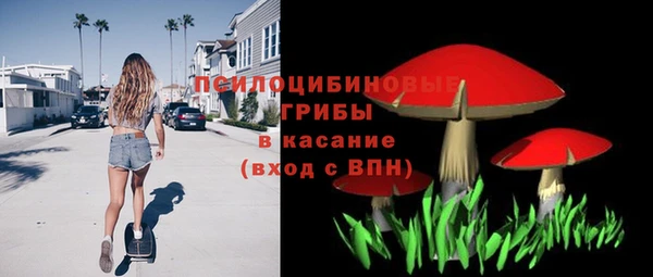тгк Сатка