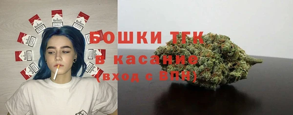 тгк Сатка