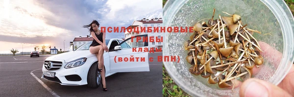тгк Сатка