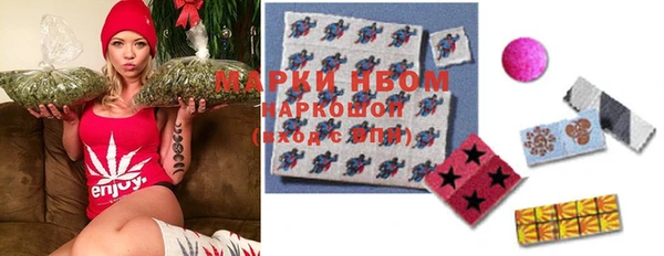 тгк Сатка