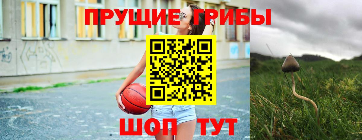 Семилуки  Галлюциногенные грибы Magic Shrooms  Вход с VPN 